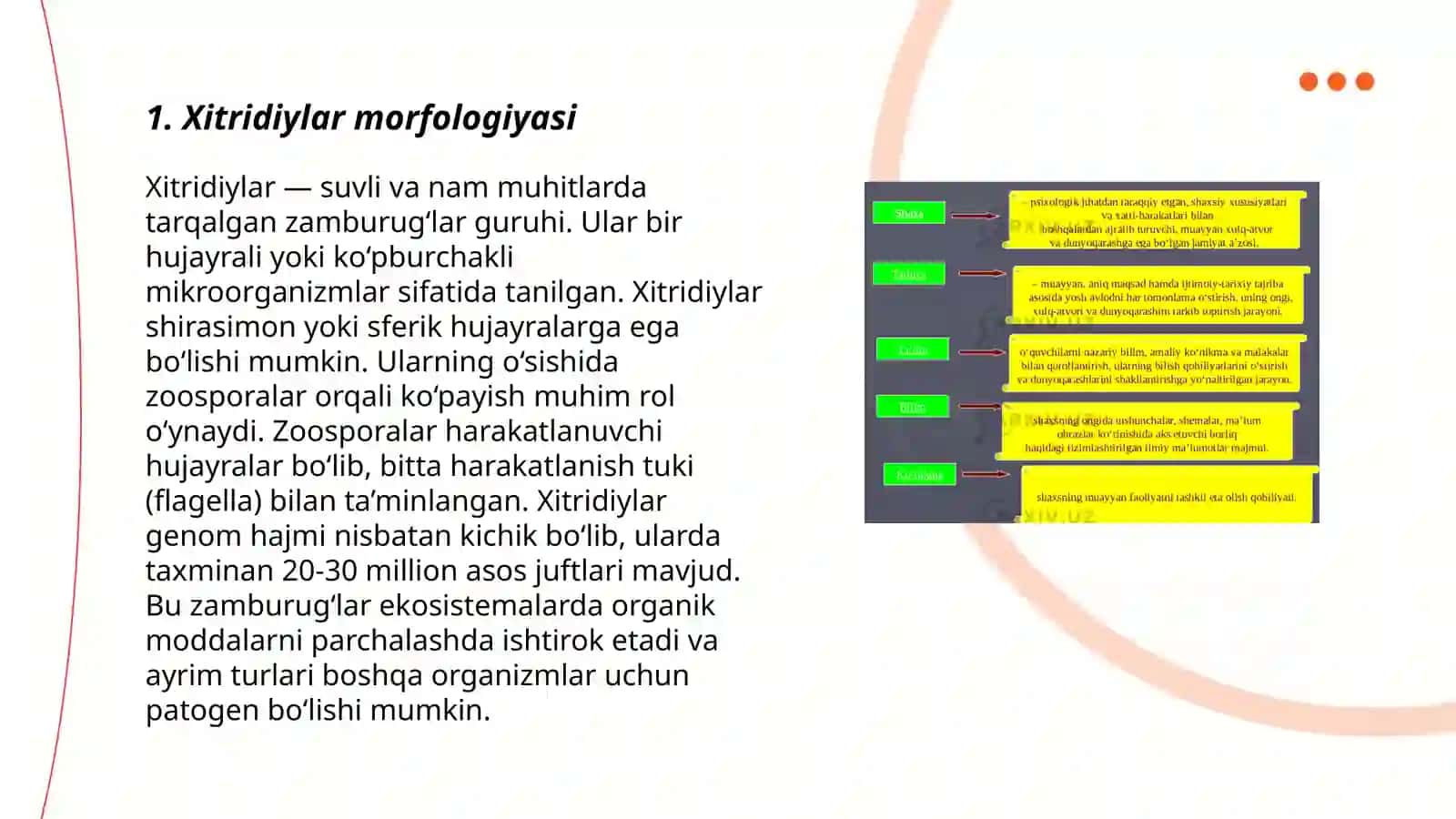 Xitridiyasimonlar sinfining xarakteristikasi, koʻpayish usullari 3