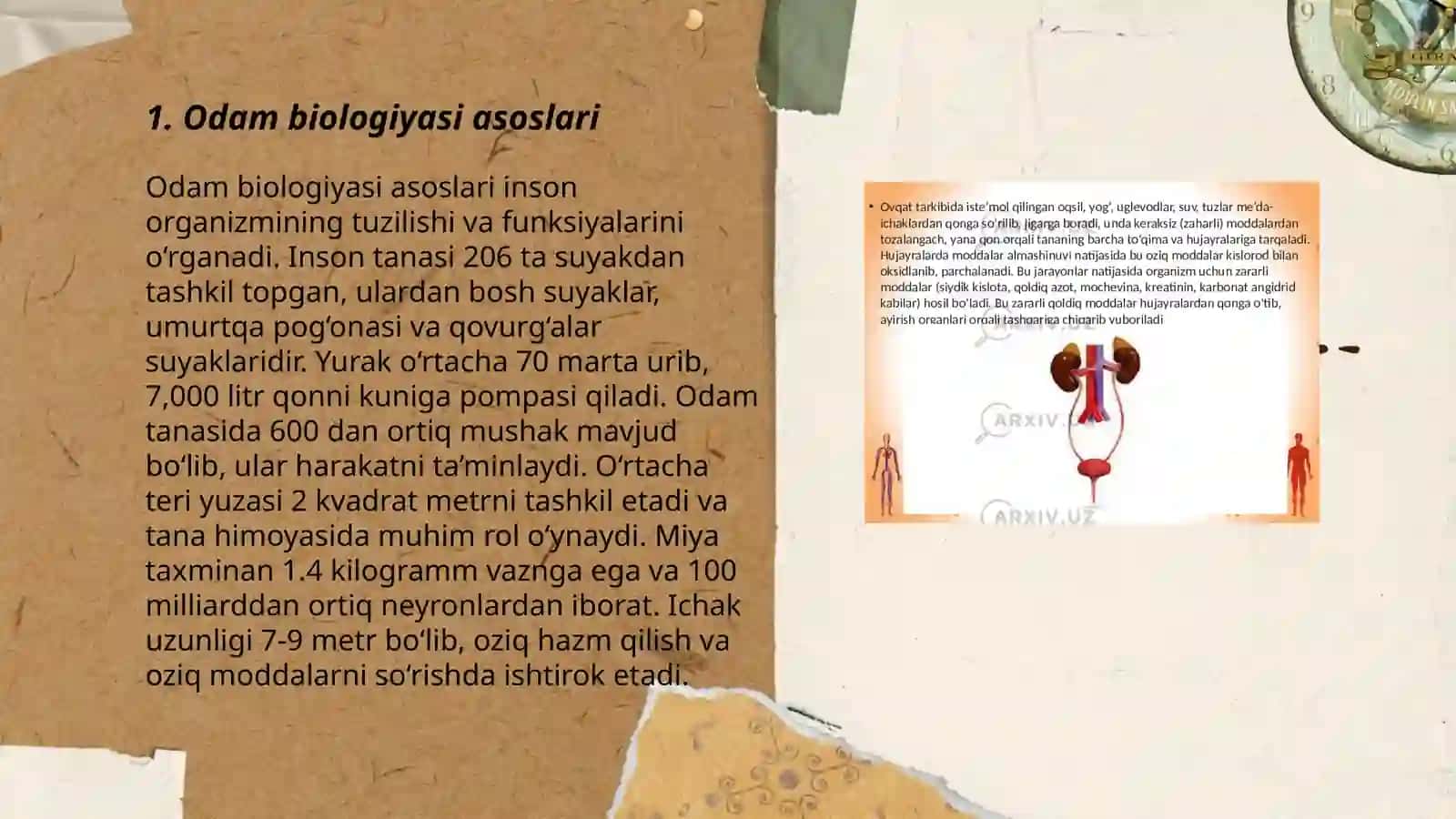 Odam biologiyasi va uning salomatligi darslarini muammoli talim texnologiyasidan foydalanib loyihalashtirish 3
