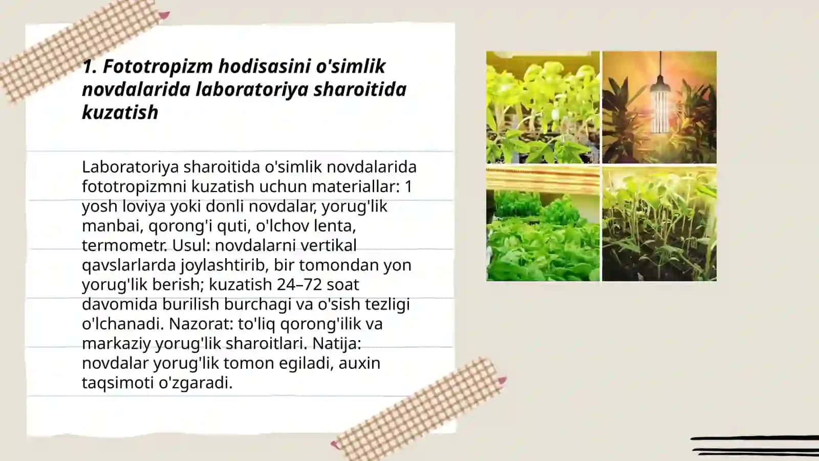 O'simliklardagi fototropizm,fotonastiya va geotropizm hodisalarini kuzatish 3