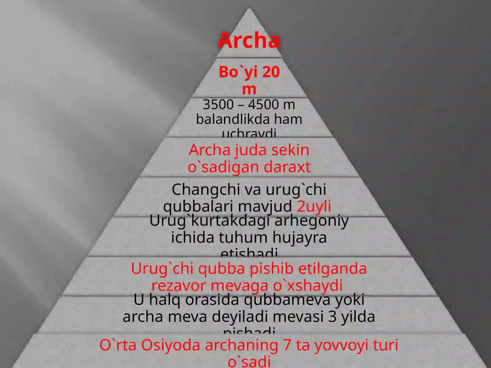 OCHIQ URUG`LI O`SIMLIKLAR BO`LIMI 3