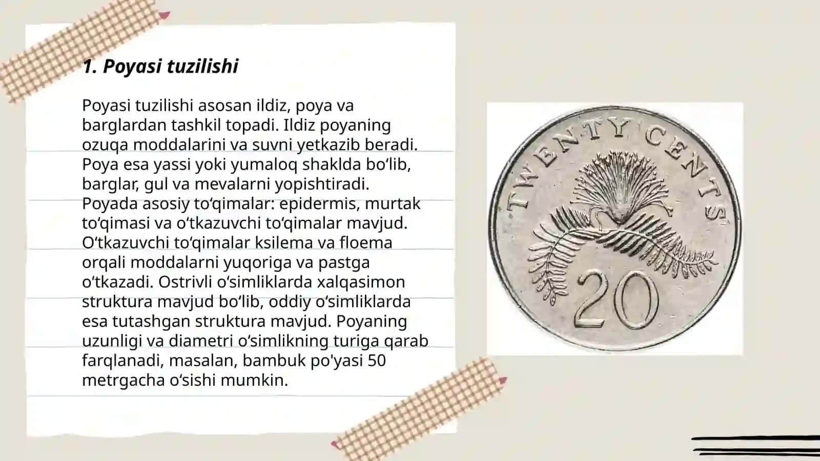 Ikki urugʻpallalilar va bir urugʻpallalilar vakillari orasidagi farqli belgilari 3