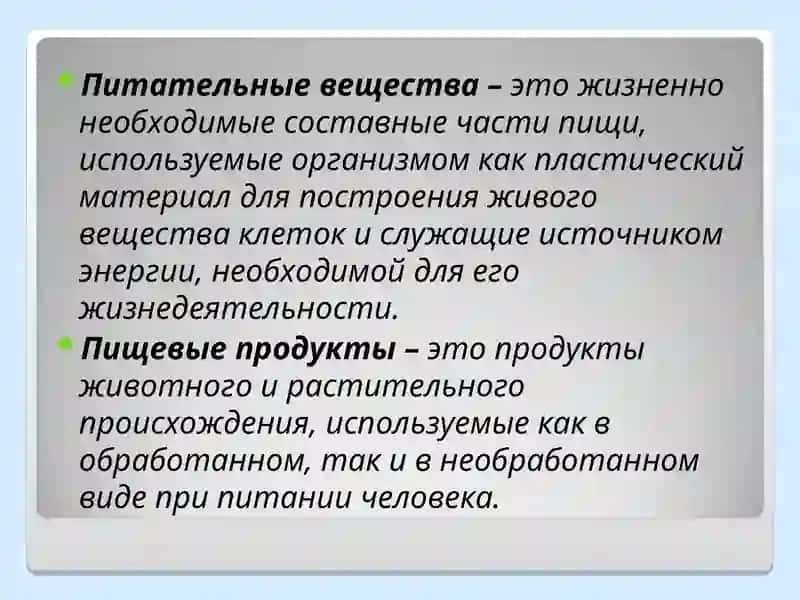 Строение и функции пищеварительной системы 3