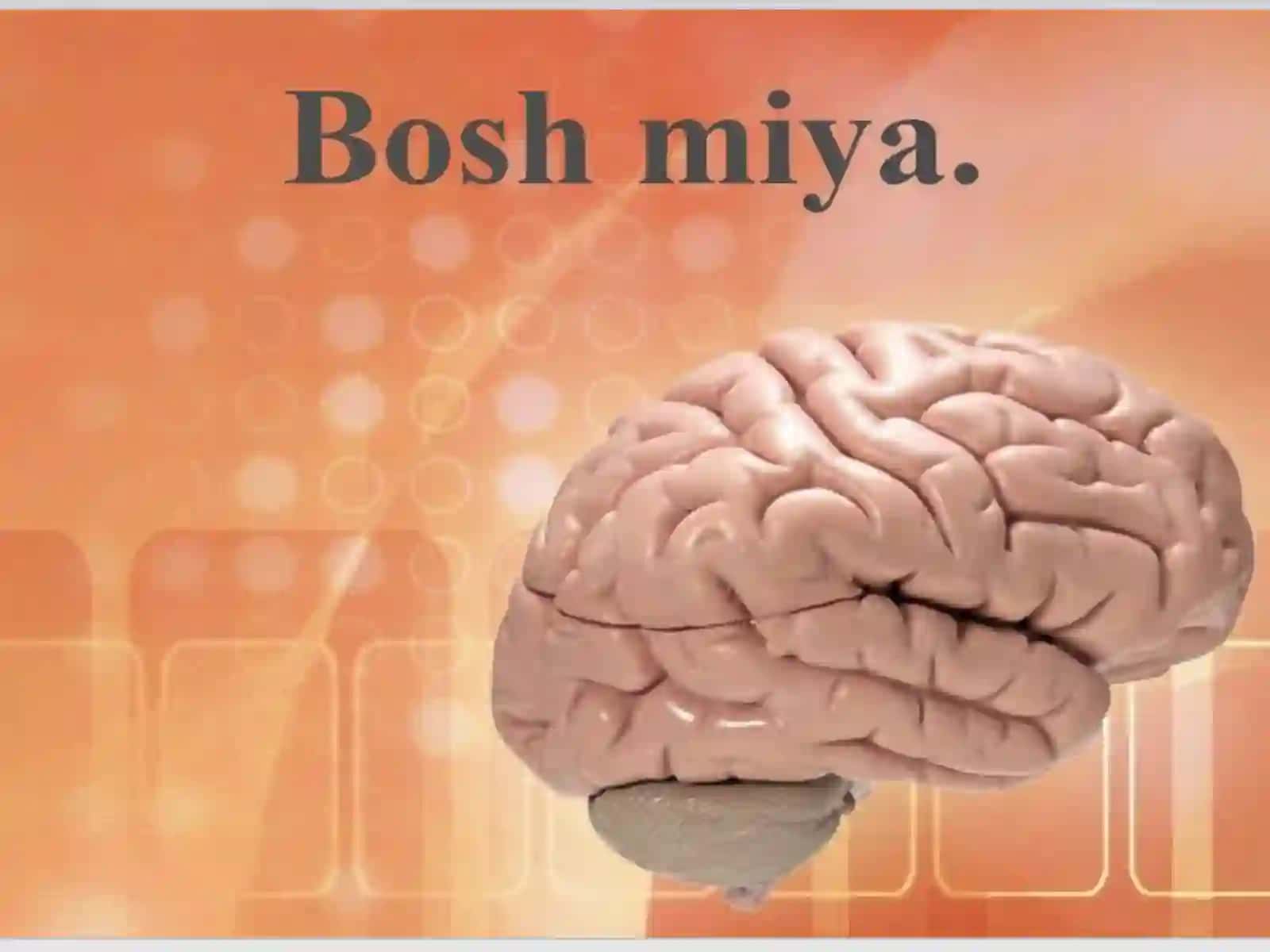 Odaman atomiyasiva fiziologiyasifanidantayyorlagan mustaqil ishi 3