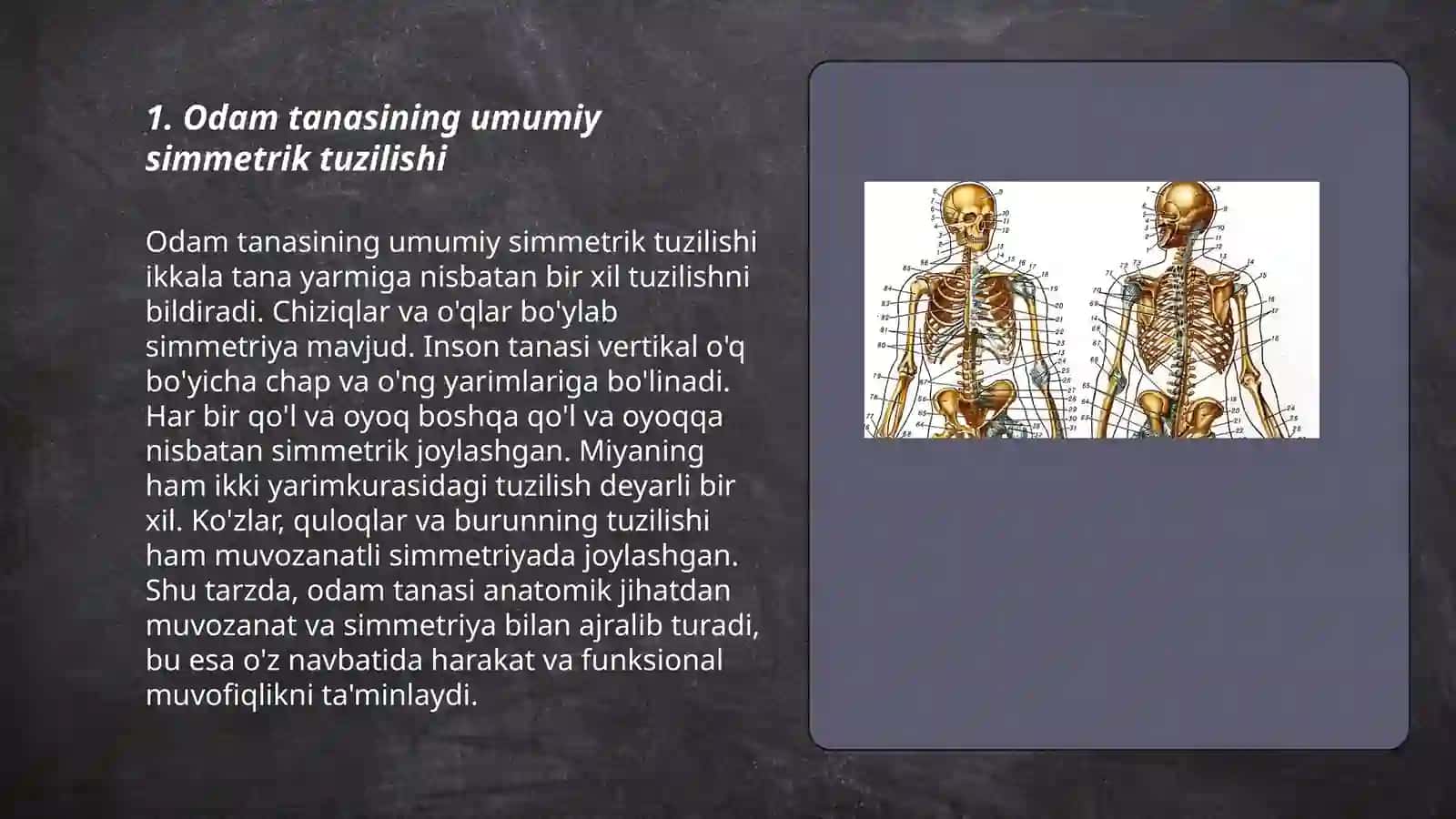 Odam tanasining simmetirik va asimmetrik tuzilishi 3