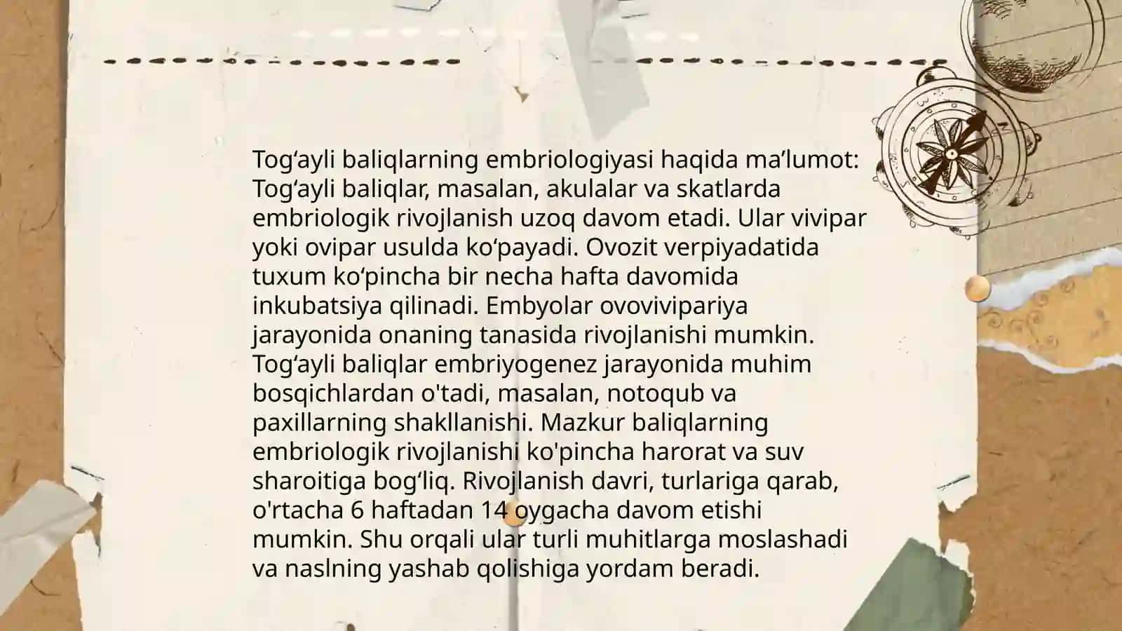 Tog‘ayli baliqlarning indiduval rivojlanish xususiyatlarini 3