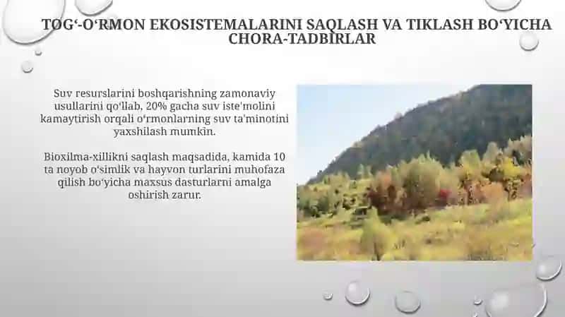 Oʼzbekistonning togʼ-oʼrmon ekotizimlarining antropogen omillar taʼsirida oʼzlashtirilishi 3
