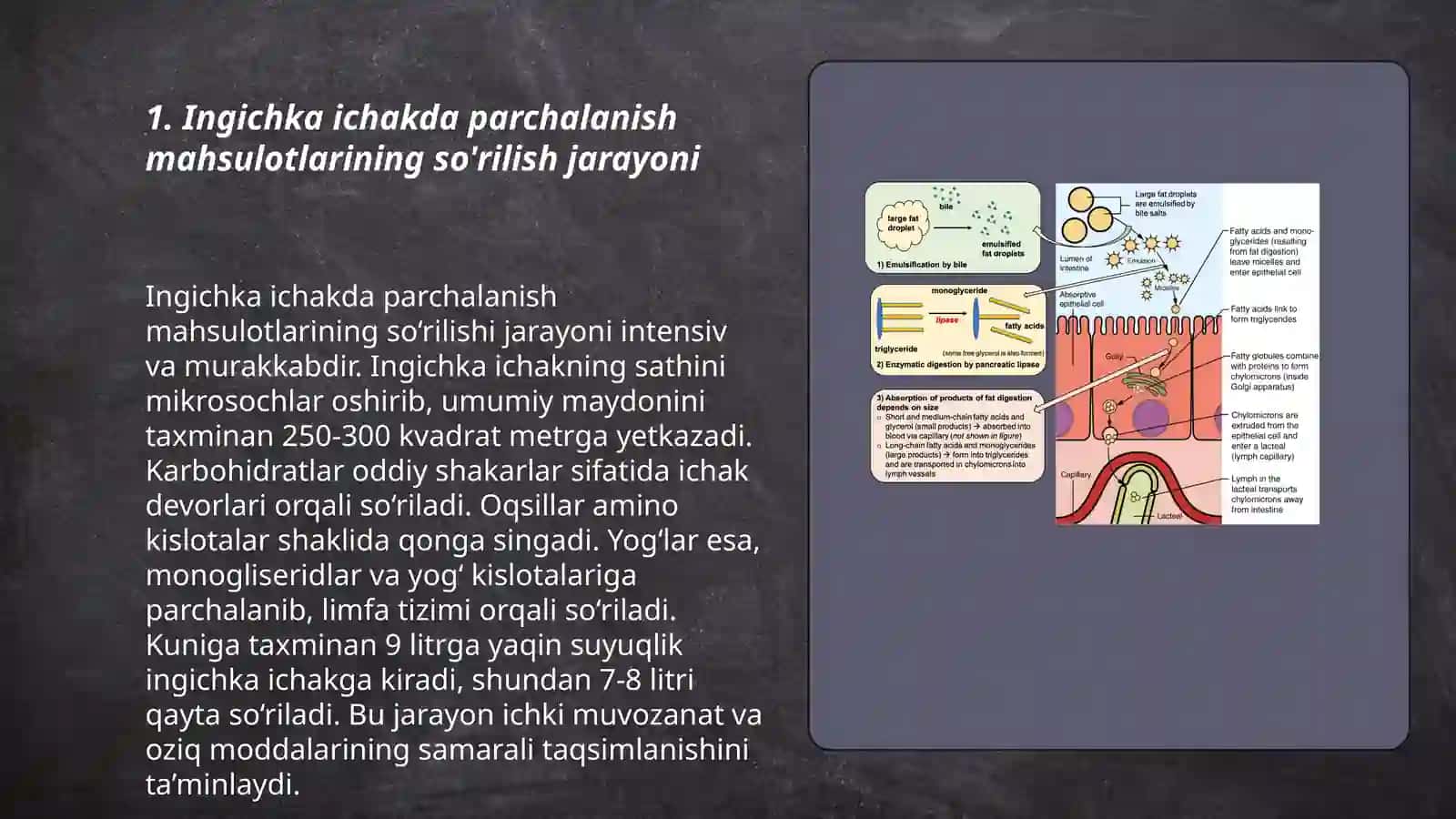 Ingichka ichakda parchalanish mahsulitlar so'rilishining buzilishi 3