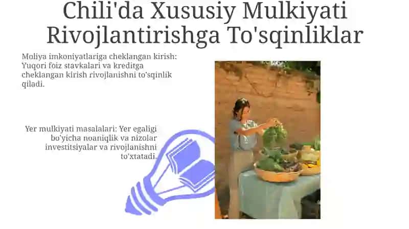 Chiliyadagi Xususiy Mulkiy: Iqtisodiy Islohotlarning Merosxoʻri 3