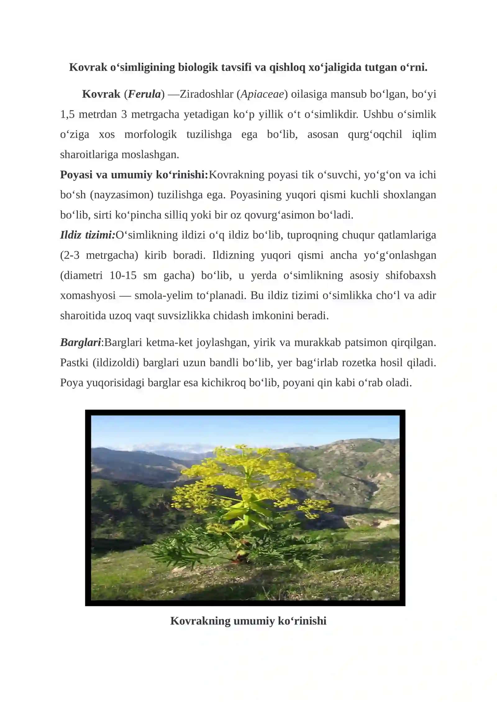 Qishloq xoʻjaligiga ixtisoslashtirilgan yerlarda kovrak oʻsimligini yetishtirishning istiqbollari. 3