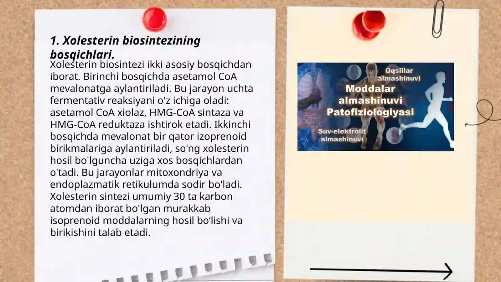 Murakkab lipidlar almashinuvi. Xolesterin metabolizmi. Yoglar almashinuvini boshqarilishi 3