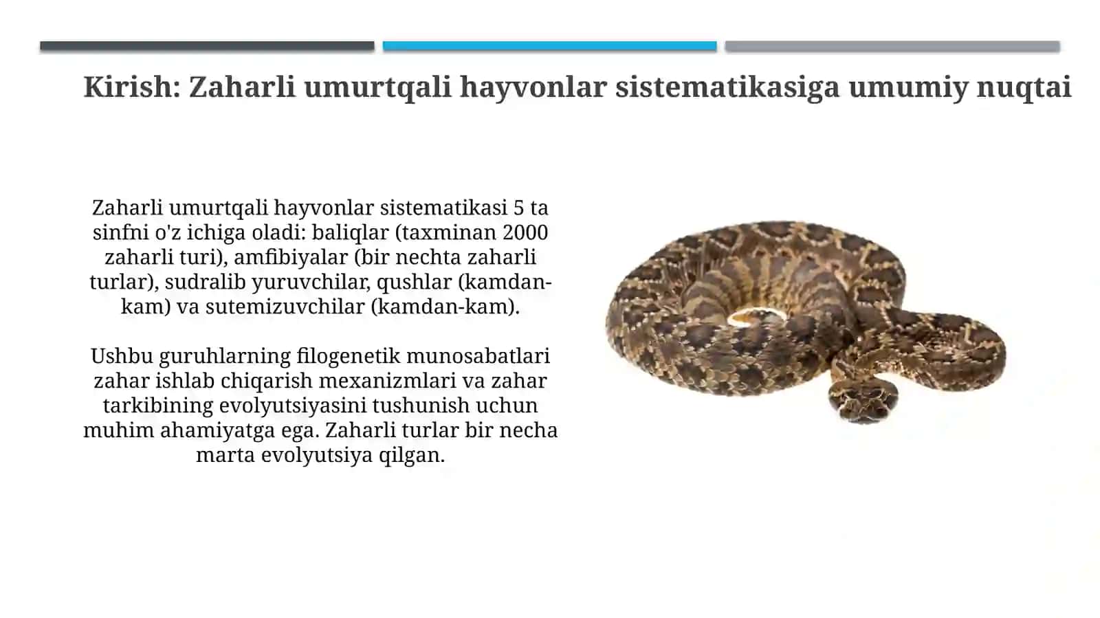 Zaharli umurtqali hayvonlar sistematikasi 3