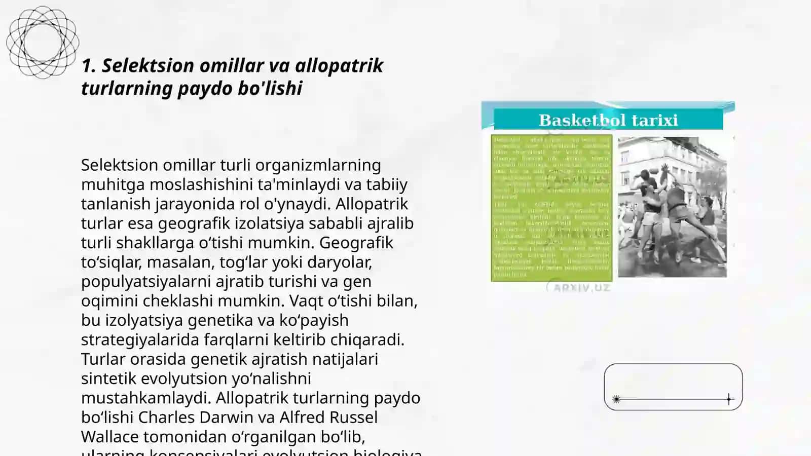 Selektsion omillar va allopatrik turlarning paydo bo'lishi 3