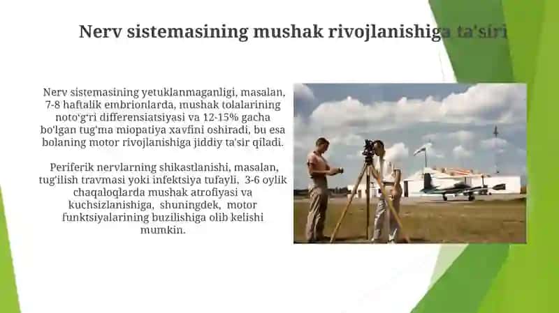 Muskul sistemasi filogenezi va ontogenezi, taraqqiyotiga tashqi omillarning ta'siri 3