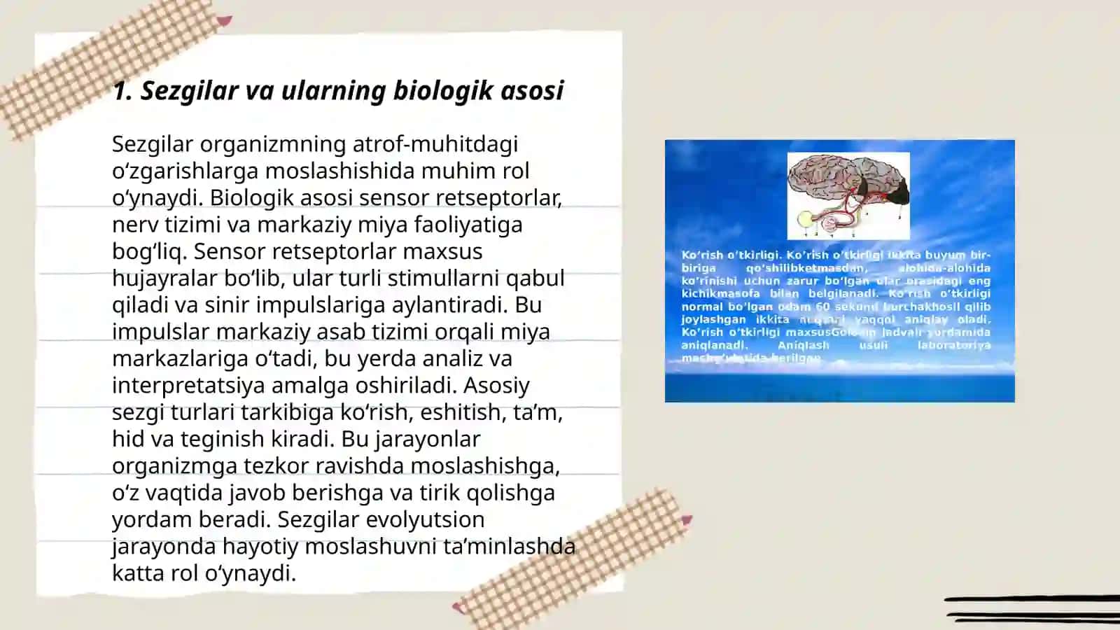 Sezgilarning tasnifi, sezgilarning turlari, sezgi sohasidagi qonuniyatlar 3