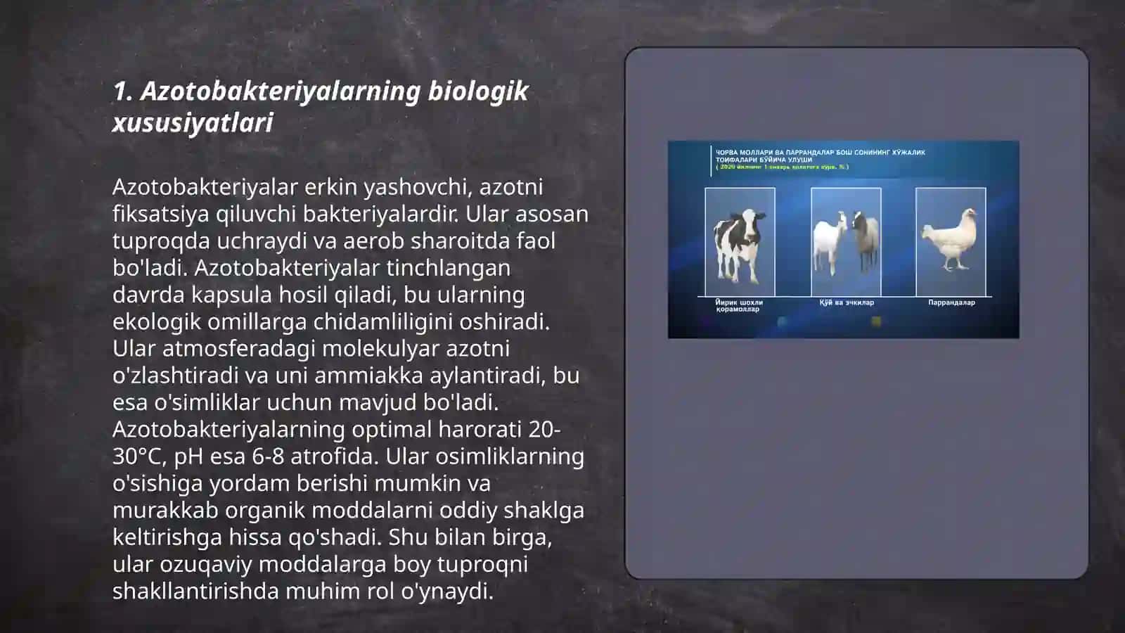 Azotobakteriyalar va ularni qishloq xoʻjaligida qoʻllashning istiqbollari 3