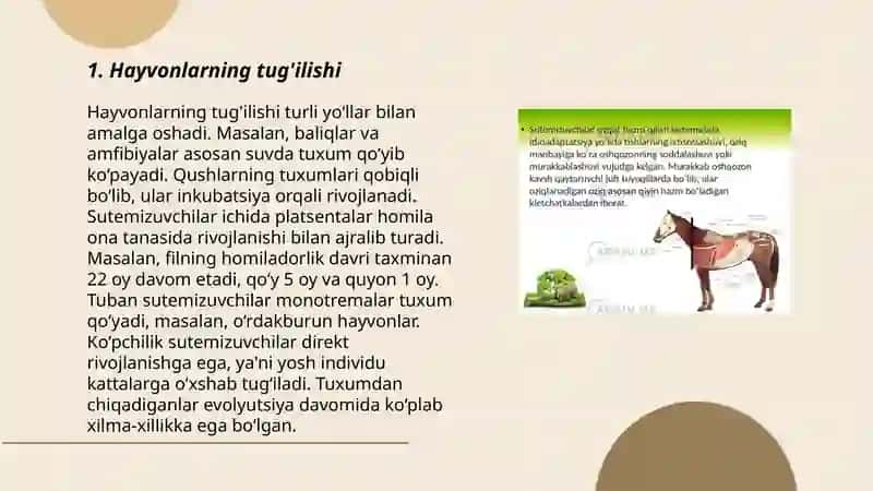 Hayvonlarning hayot sikli 3