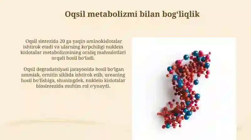Nuklein kislotalar almashinuvining oqsil, uglevod va lipidlar almashinuvi bilan o’zaro bog‘liqligi 3