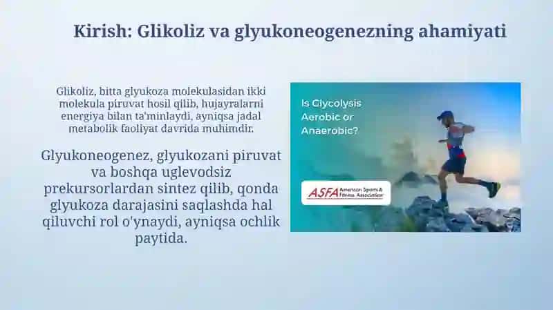 Glikoliz va glyukoneogenezning boshqarishi 3