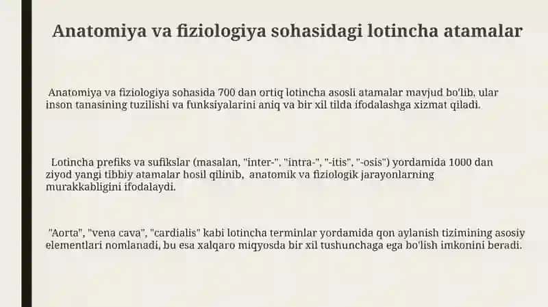 Anatomiya va fiziologiya sohasidagi lotincha atamalar 3