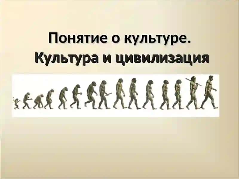 Понятие о культуре.Культура и цивилизация 3