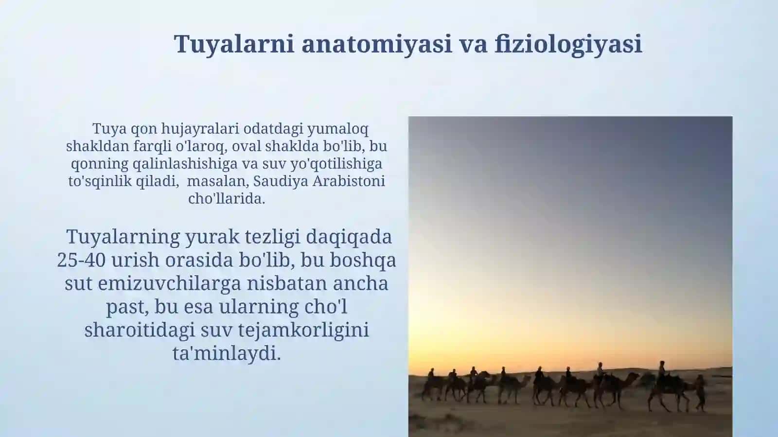 Tuyalar: Inson Hayotida Ahamiyati 3