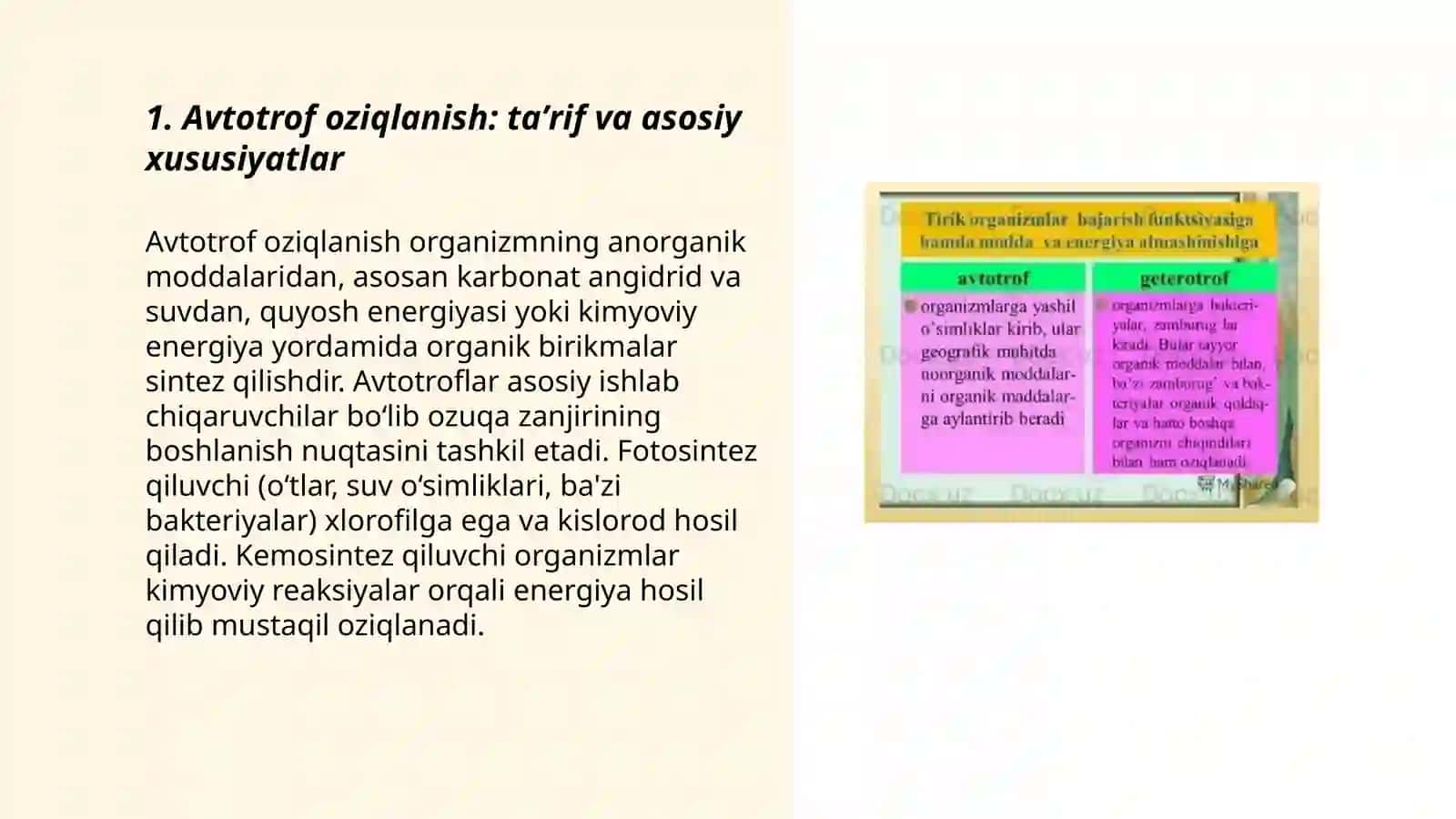 Avtotrof va geterotrof oziqlanishi 3
