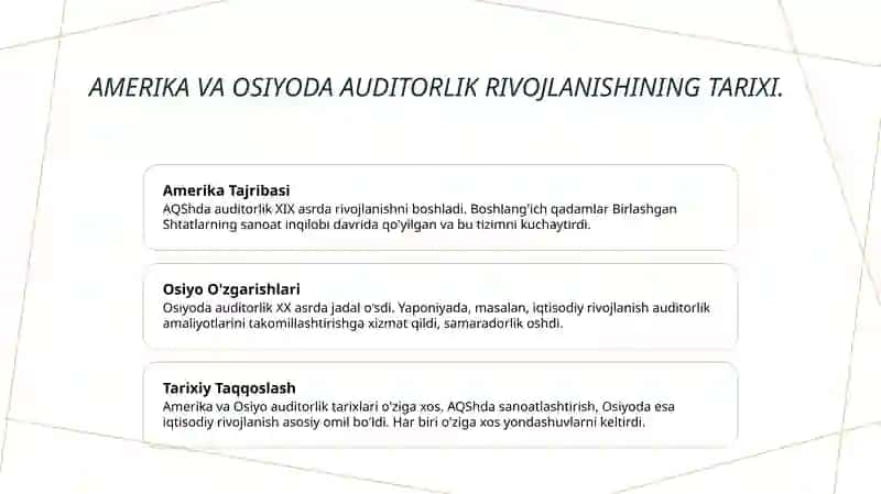 Auditorlik faoliyatini tashkil etishda xorij tajribasi 3