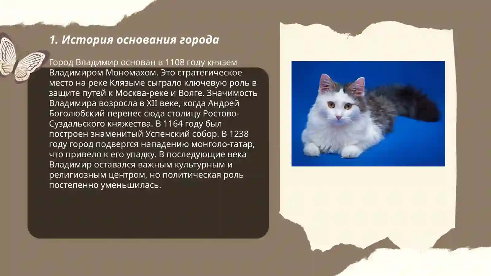 Город, в котором я живу. История и современное состояние моего города (транспорт, почта, экономика и промышленность города, торговля) 3