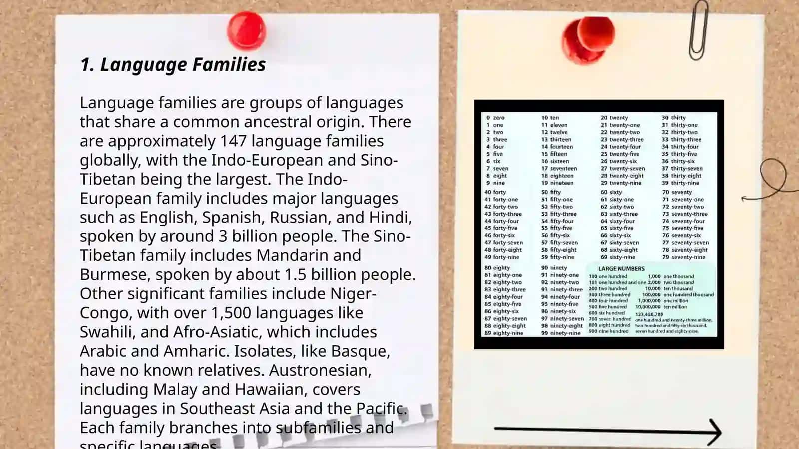 Languages of the world 3