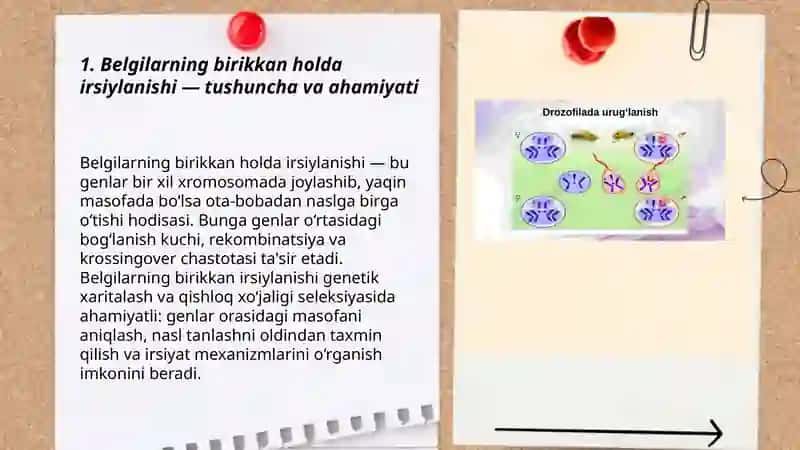 Belgilarning birikkan holda irsiylanishi va krossingover 3
