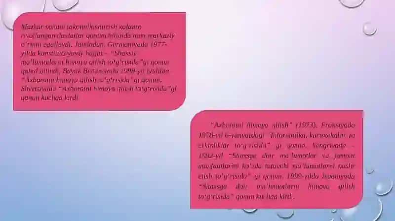 Xodimlarning Shaxsga Doir Ma'lumotlarni Himoq Qilish Tushunchasi va Kafolatlari 3