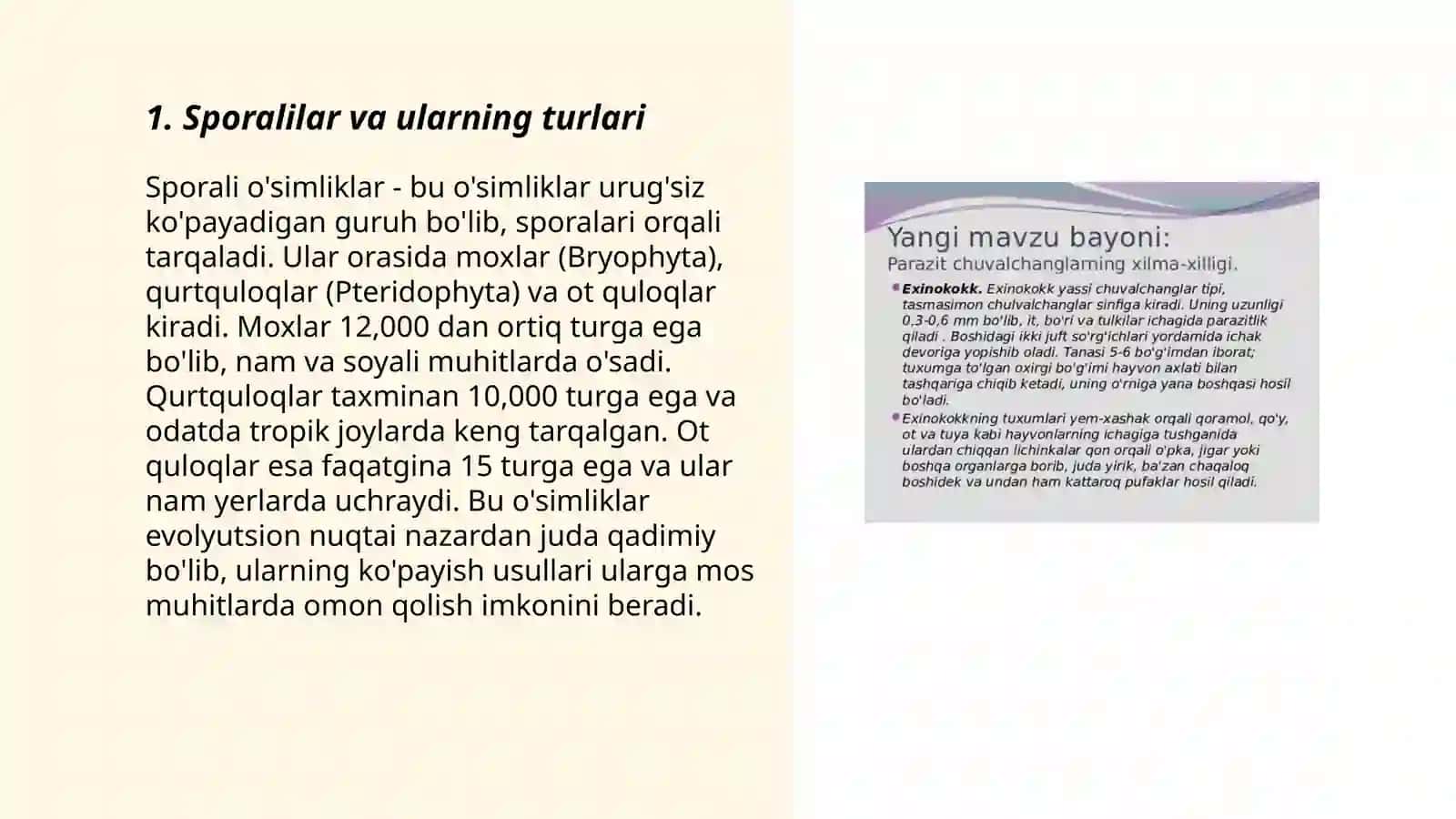 Sporalilar va ularning turlari 3