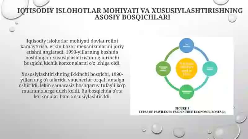 Xususiylashtirish va Mulk Huquqining Shakllanishi: Iqtisodiy Islohotlarning Asosi 3