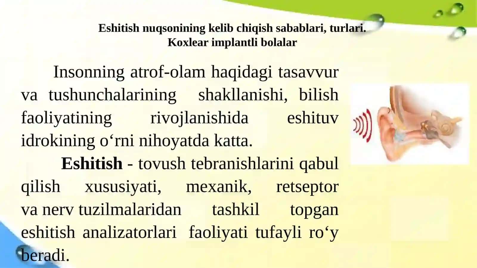 Eshitishida nuqsoni bо‘lgan bolalar rivojlanishining о‘ziga xos xususiyatlari 3