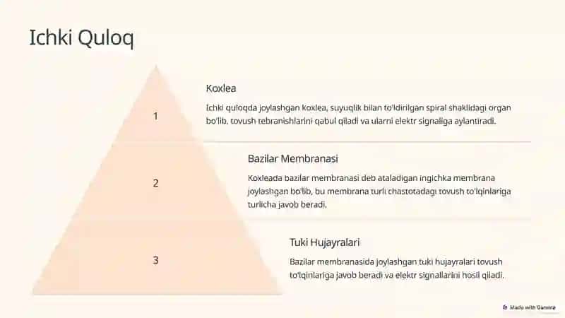 Eshitishning Sitologik Mexanizmlari 3