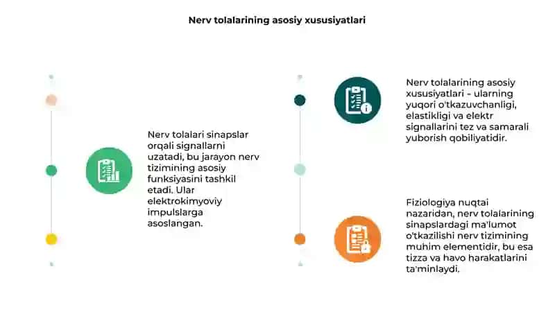 Nerv tolalari va sinapslar fiziologiyasi 3