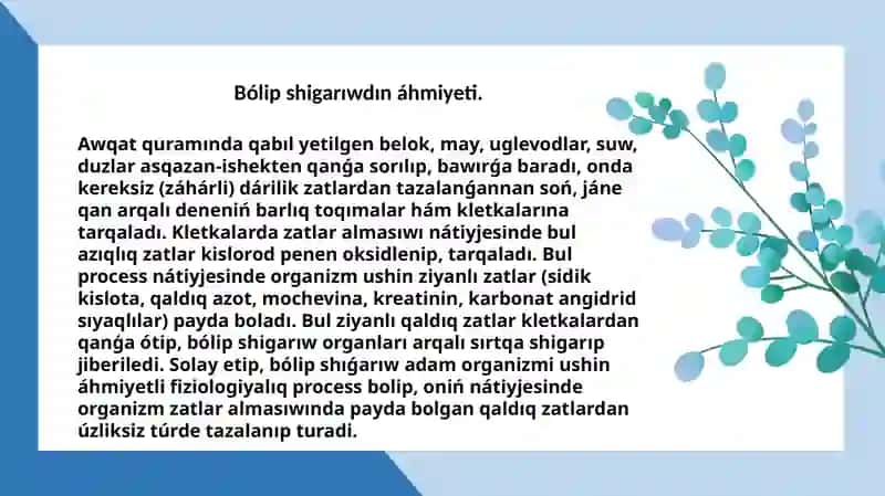 Bólip shigarıw organları fiziologiyası 3