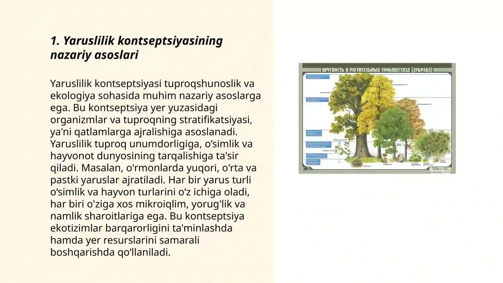 Yaruslilikni mintaqalar bo’ylab tarqalishini qiyosiy tahlil qilish 3