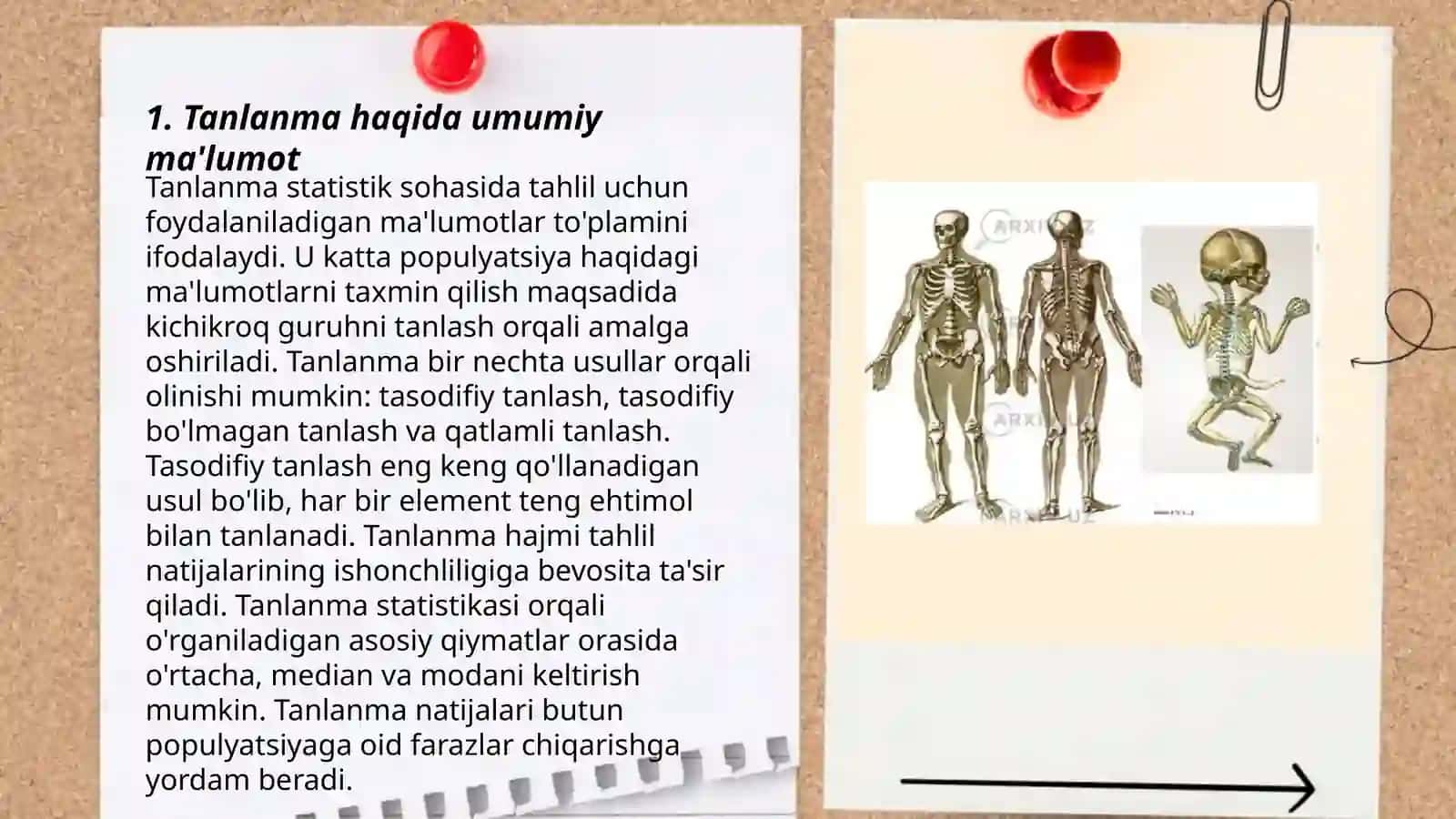 Suyaklarga qarab bola yoshini baxolash 3