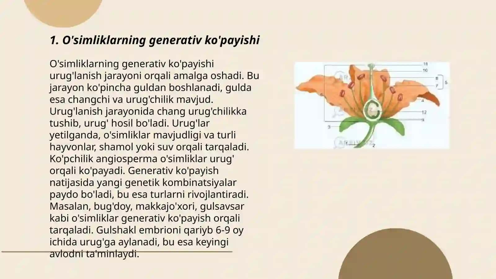O'simliklarning generativ ko'payishi 3