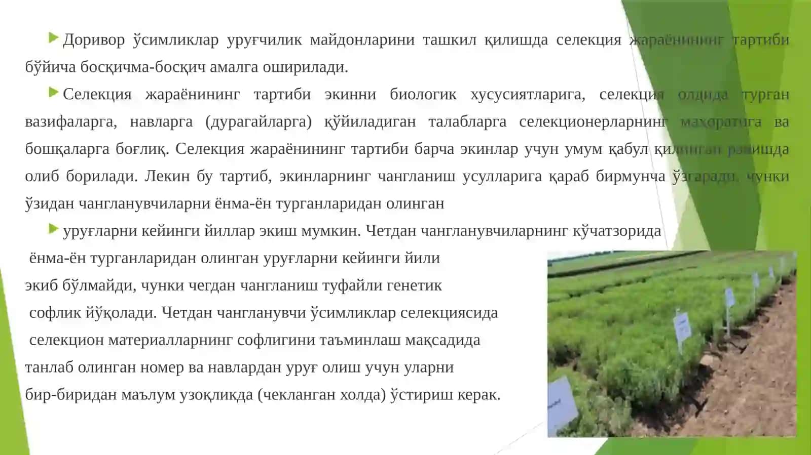 Уруғ ва кўчатхоналар учун қўйиладиган талаблар 3
