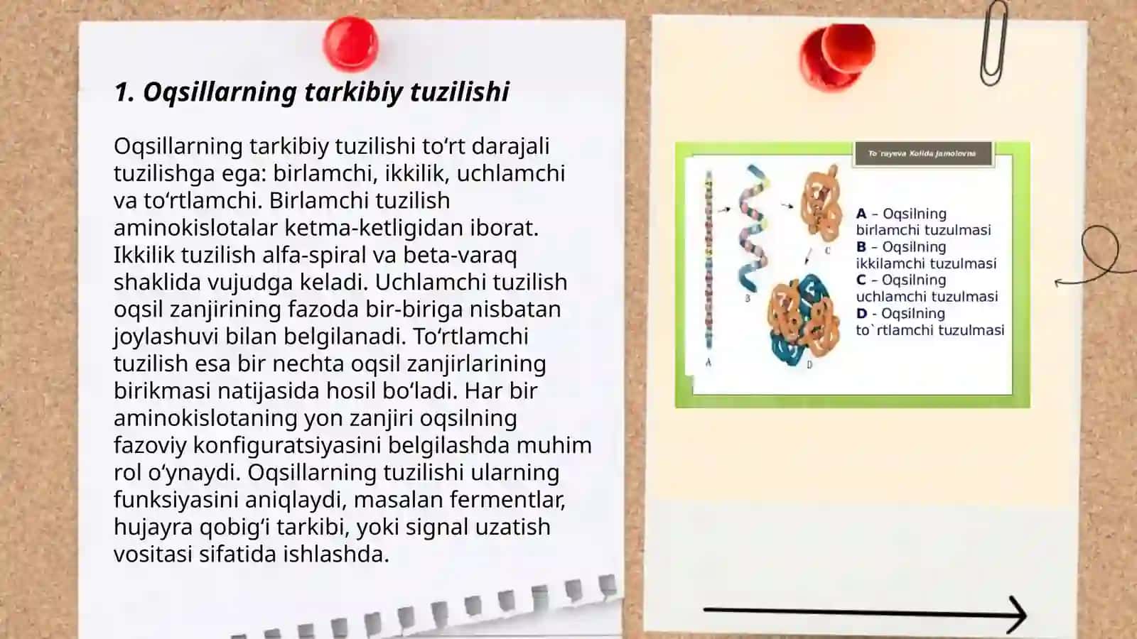 Oqsillarning klassifikatsiyasi.Umumiy xossalari 3