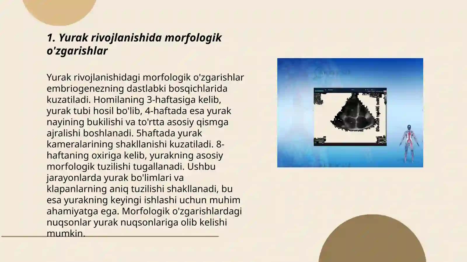 TTATF D/1304/B gurux talabasi Ergashev Ziyodullaning BKP dan mustaqil ishi 3