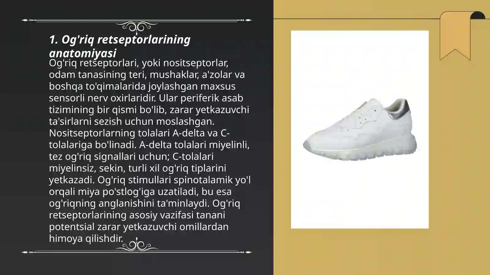 Og'riq retseptorlari. Visseroreseptorlar. Proprioretseptorlar 3