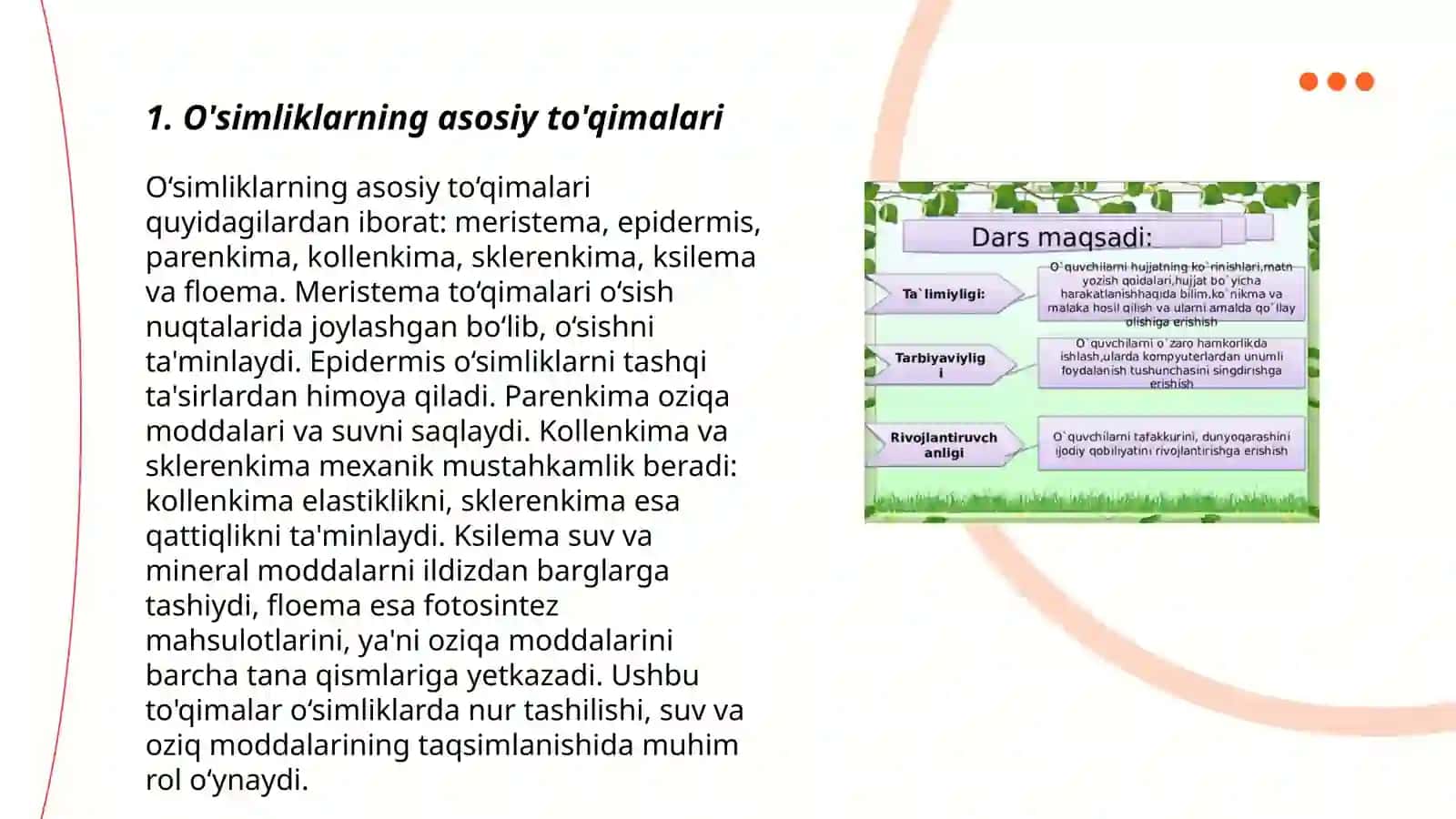 O'simliklar to'qimalarining tuzulishi va vazifasi 3