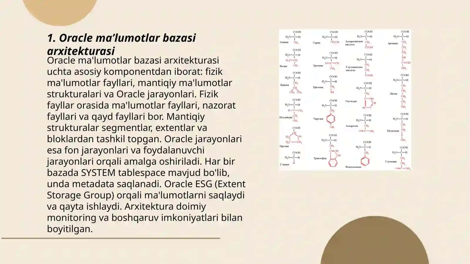 Oracle va Clipper tarmoq MBBT bank soxadagi maʼlumotlarni qayta ishlashda qoʻllash texnologiyalari 3
