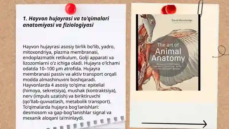 Hayvonga anatomiyasi va fiziologiyasi 3