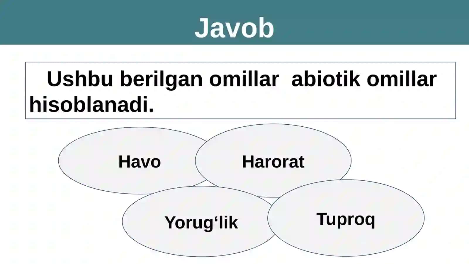 Quruqlik-havo yashash muhiti sifatida 3