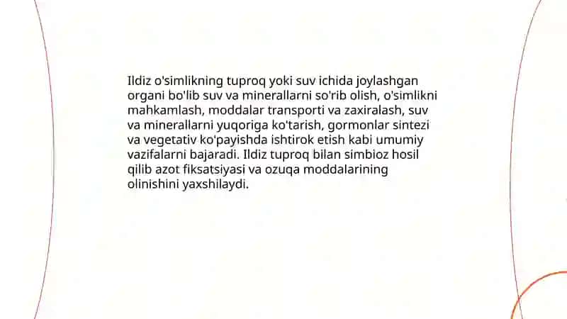 Ildiz va uning vazifasi, ildizning turlari 3