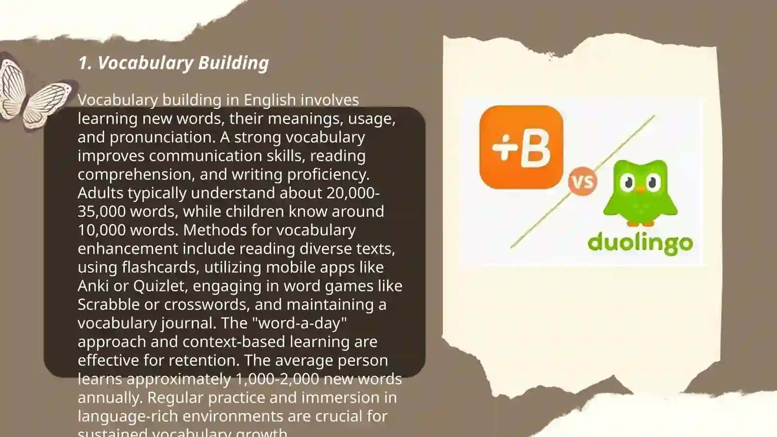 Vocabulary Building 3